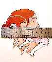 Sarah taille2.webp