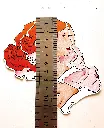 Sarah taille1.webp